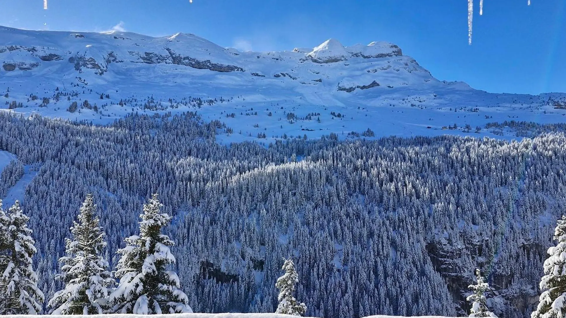 Apartamento Spacieux Appartement 3 Pieces + Cabine A Flaine Foret, Balcon & Parking - Fr-1-425-134